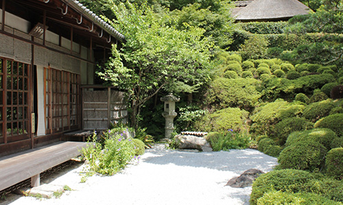 東京の屋上庭園 植栽管理 日本庭園ならガーデンデザインsuzuki 鈴木造園